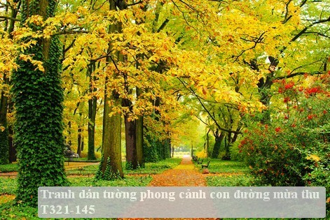 Tranh dán tường phong cảnh con đường mùa thu T321-145